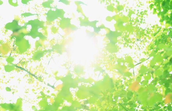 原状回復工事のみのご依頼もお任せください！賃貸物件の退去立会代行も行います。
